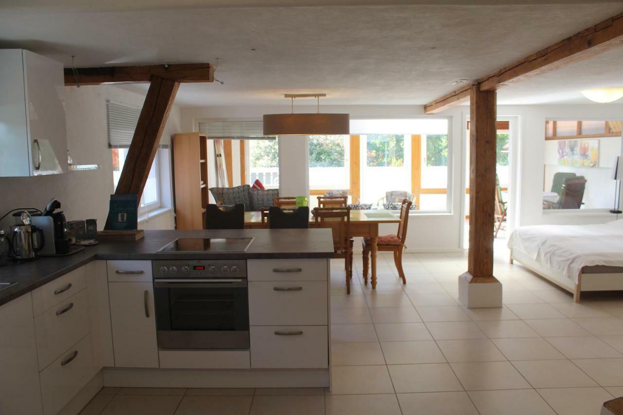 Ferienwohnung-Dorothe Rheinau Bagian luar foto