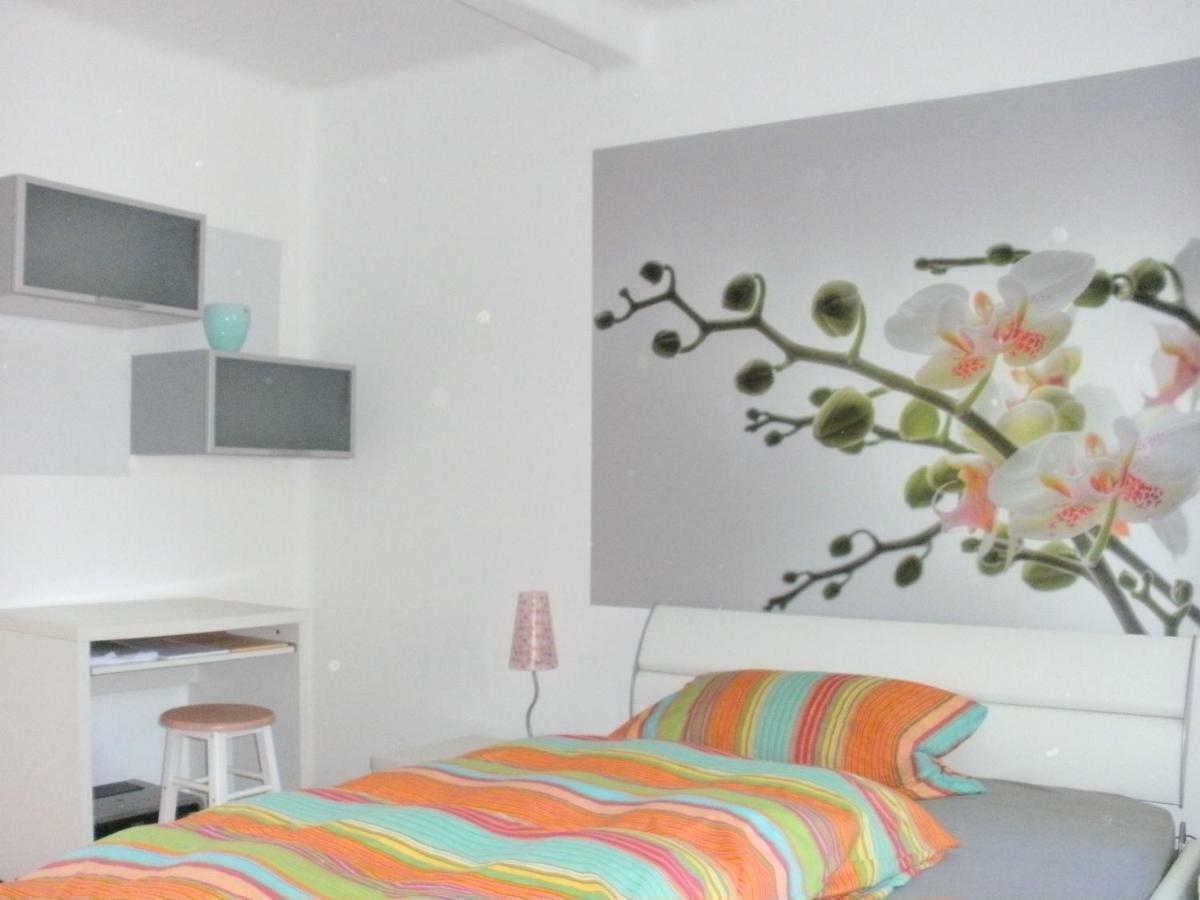 Ferienwohnung-Dorothe Rheinau Bagian luar foto