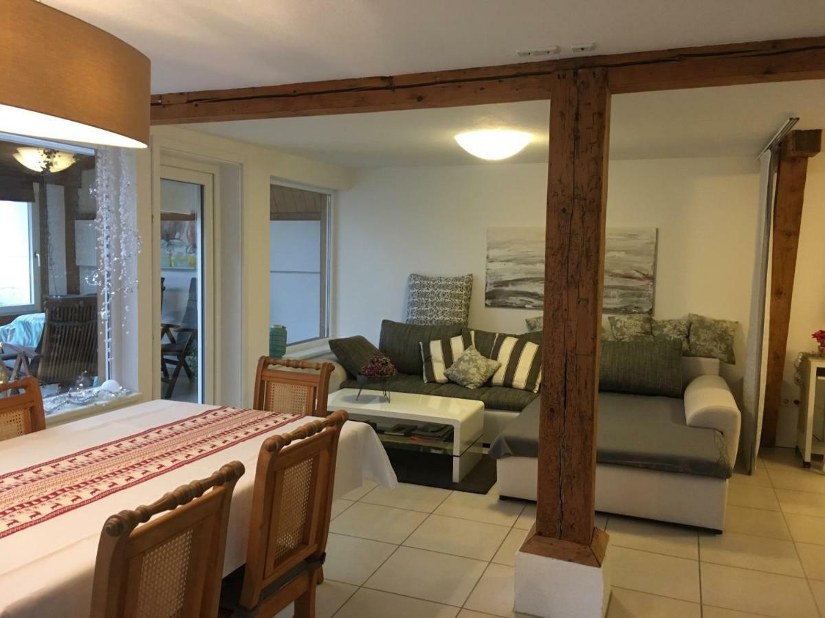 Ferienwohnung-Dorothe Rheinau Bagian luar foto